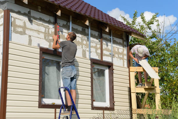 Best Steel Siding Installation  in Richwood, WV